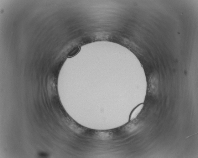 X0000067950522200605112128