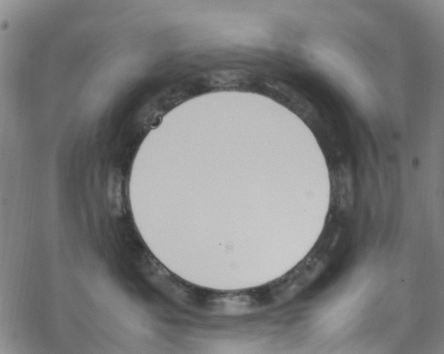 X0000067950525200605112128