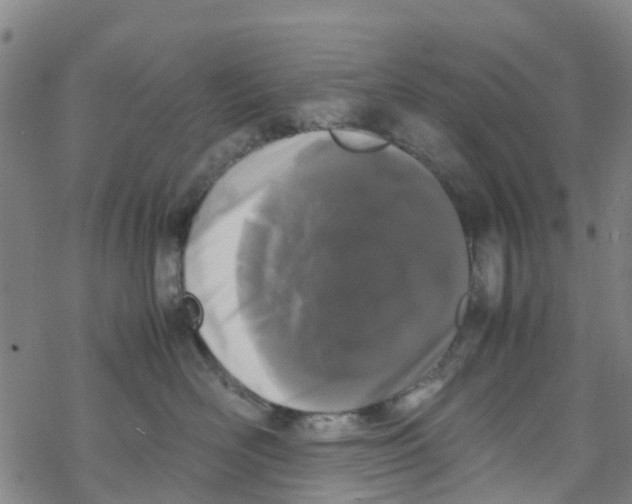 X0000067950526200605112128