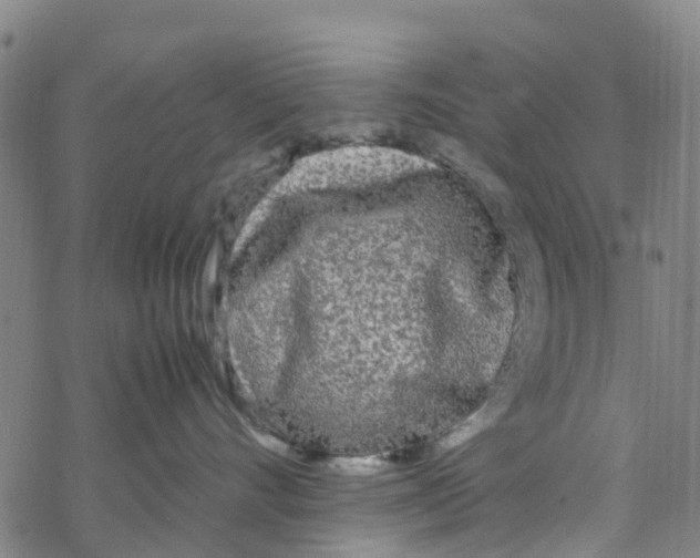 X0000067950528200605112128