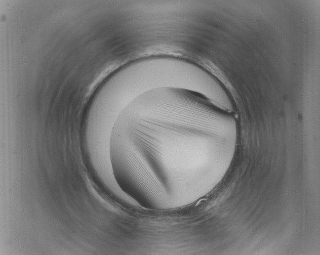 X0000067950530200605112128