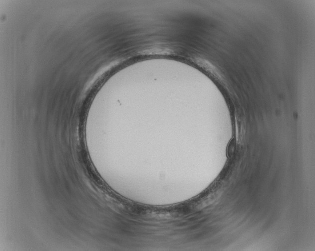 X0000067950531200605112128