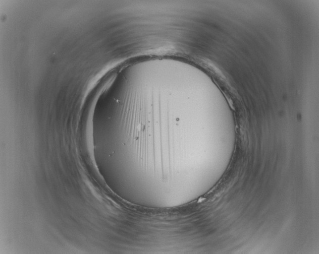 X0000067950532200605112128