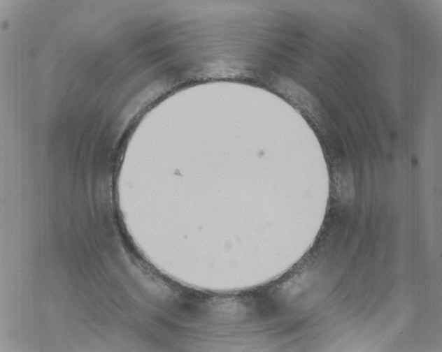 X0000067950534200605112128