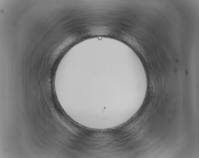 X0000067950535200605112128