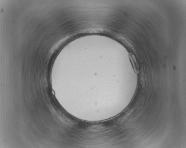 X0000067950536200605112128