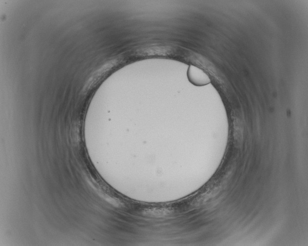 X0000067950537200605112128