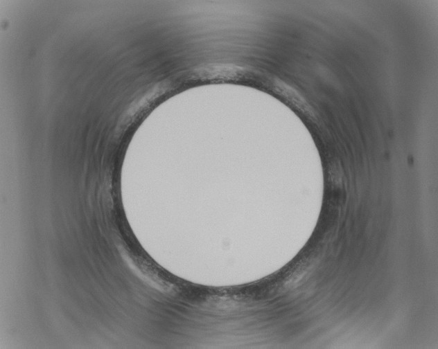 X0000067950538200605112128