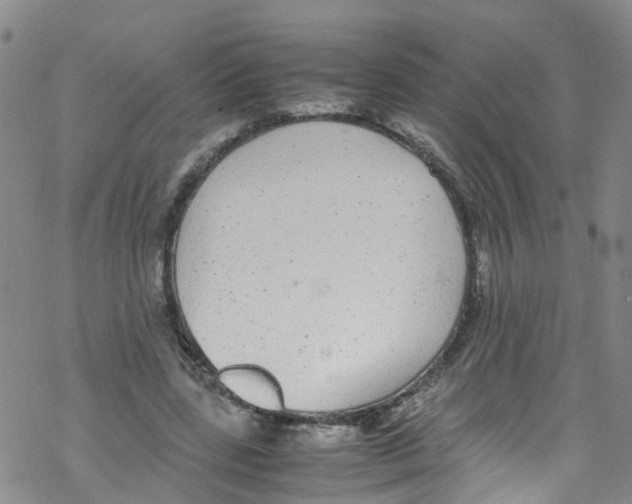 X0000067950539200605112128