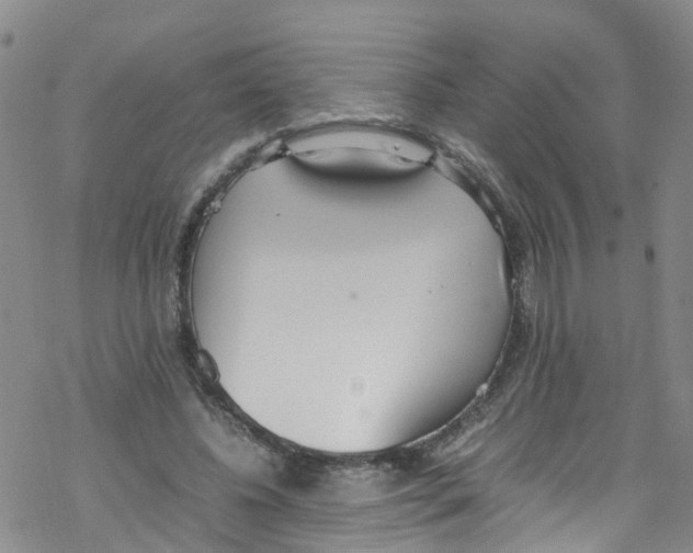 X0000067950540200605112128