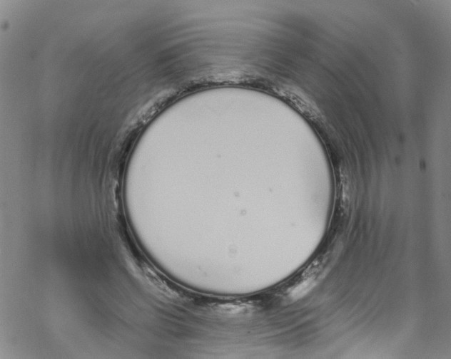 X0000067950542200605112128