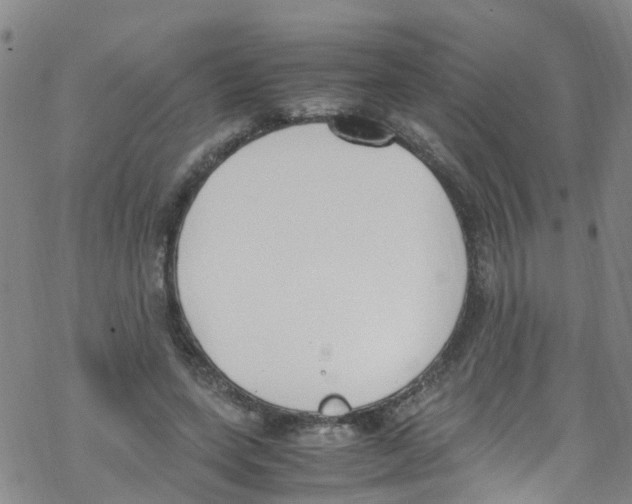 X0000067950543200605112128