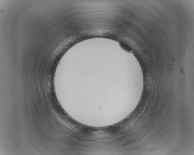 X0000067950544200605112128