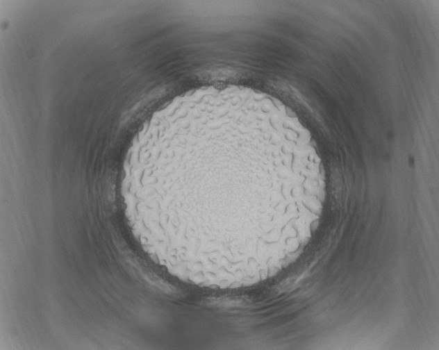 X0000067950545200605112128