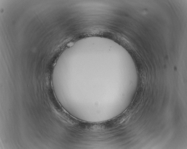 X0000067950546200605112128