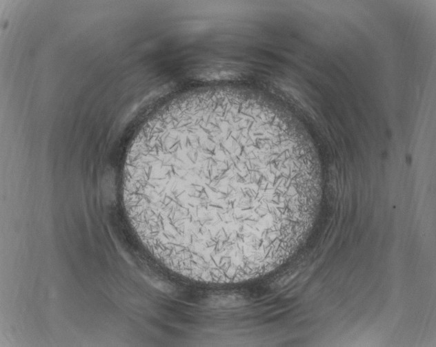 X0000067950547200605112128