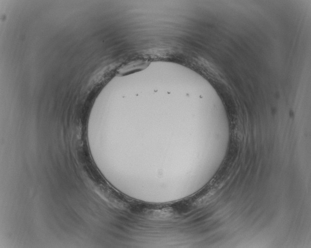 X0000067950548200605112128