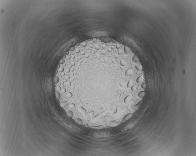 X0000067950549200605112128