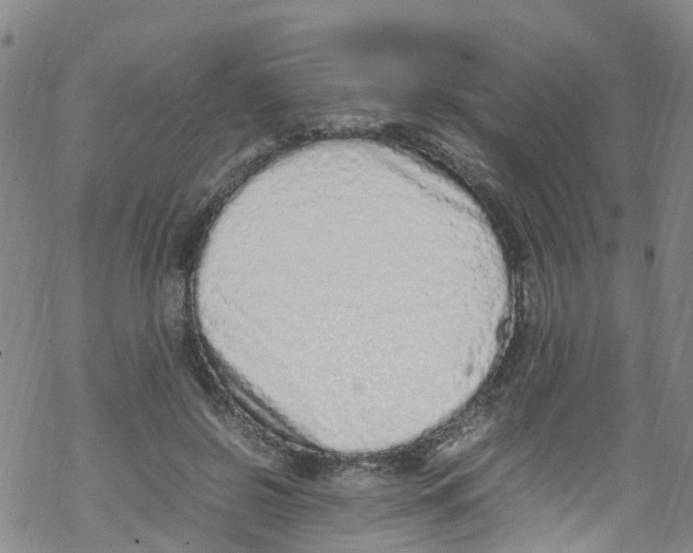 X0000067950550200605112128