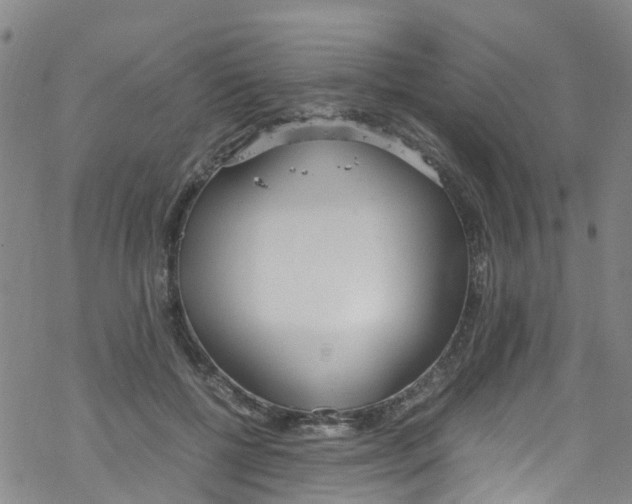 X0000067950552200605112128