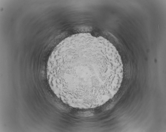 X0000067950553200605112128