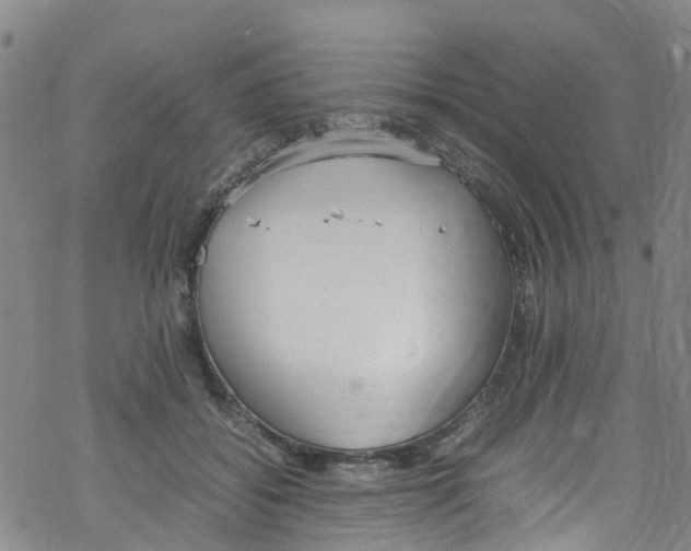 X0000067950556200605112128