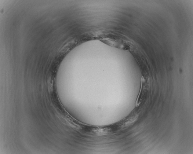 X0000067950558200605112128