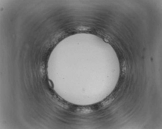 X0000067950559200605112128