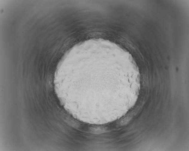 X0000067950561200605112128