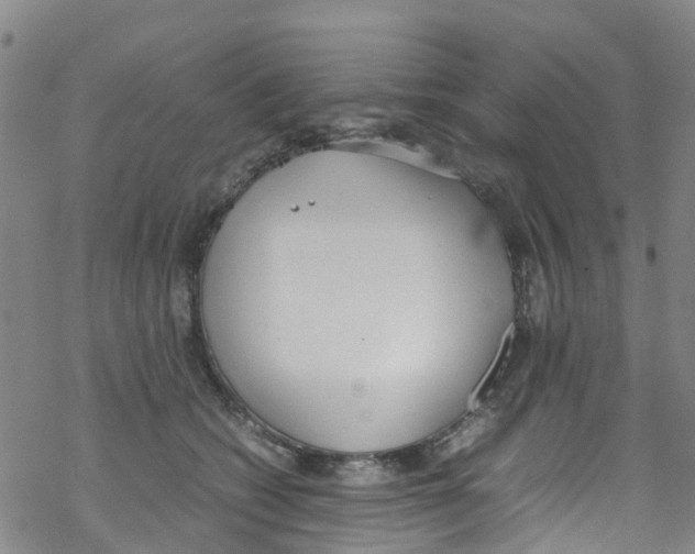 X0000067950562200605112128