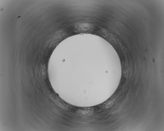 X0000067950563200605112128