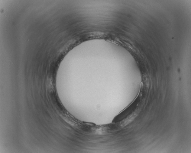 X0000067950564200605112128