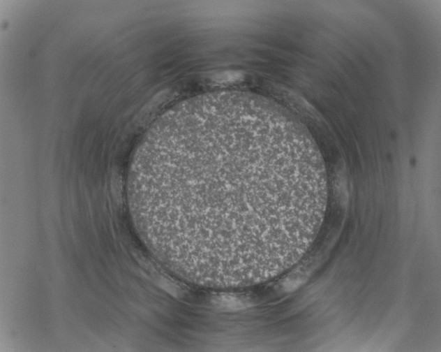 X0000067950565200605112128