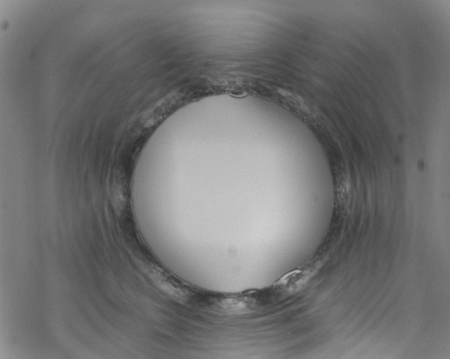 X0000067950566200605112128