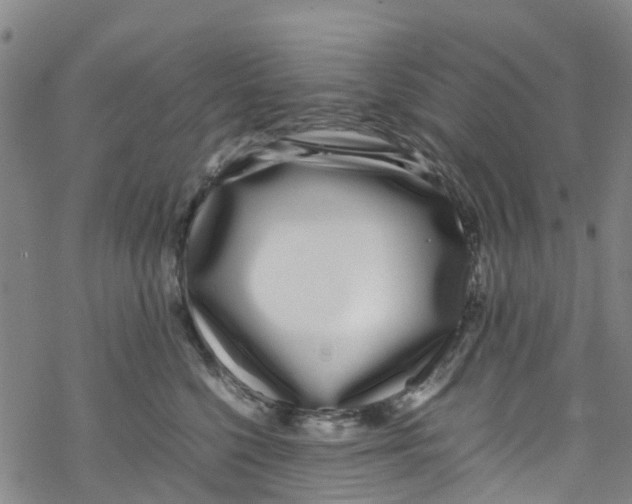 X0000067950568200605112128