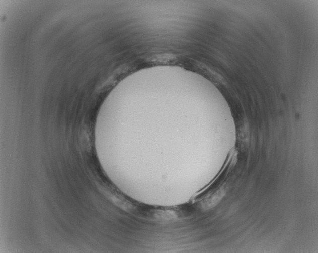 X0000067950572200605112128