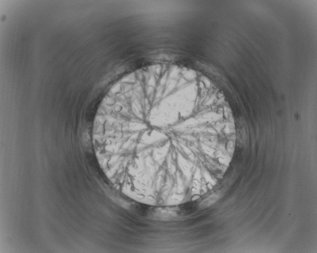 X0000067950573200605112128