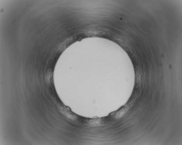 X0000067950574200605112128