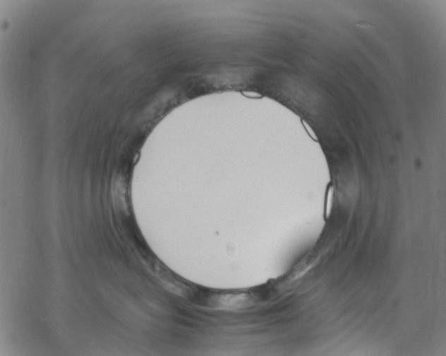 X0000067950575200605112128