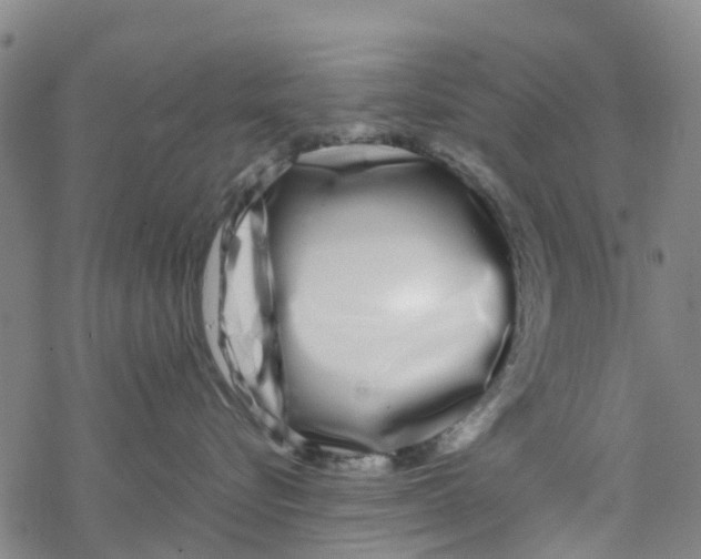 X0000067950576200605112128