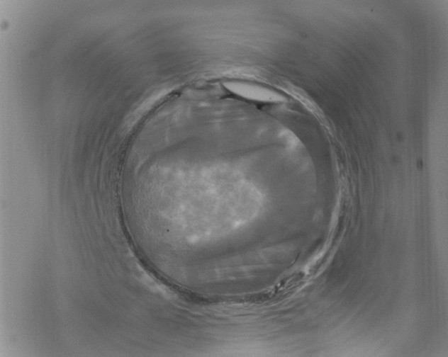 X0000067950577200605112128