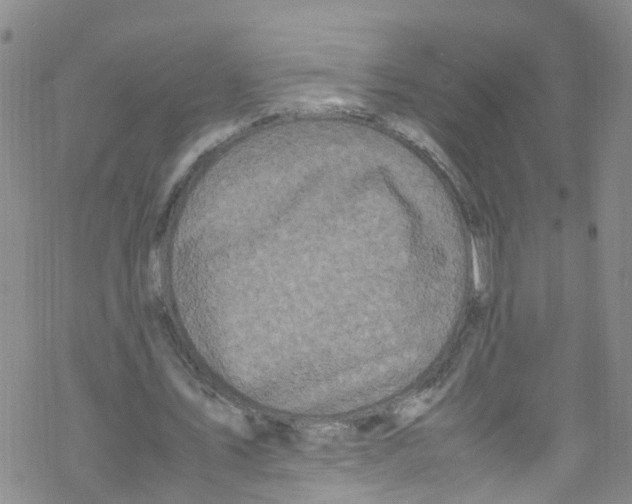 X0000067950579200605112128