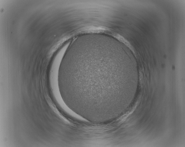 X0000067950581200605112128