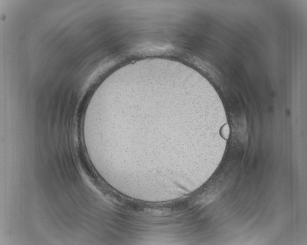 X0000067950582200605112128