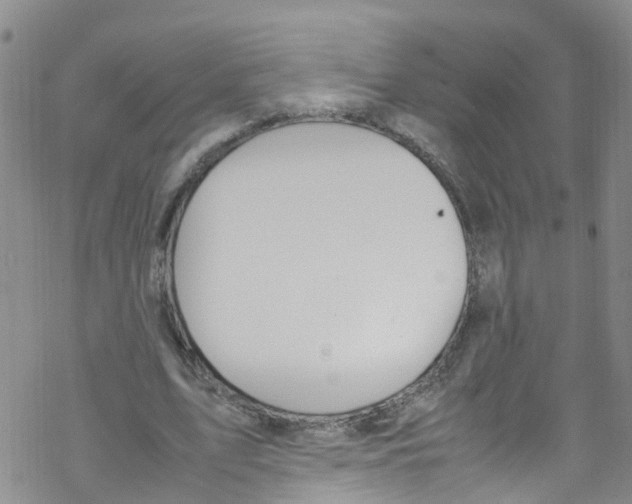 X0000067950583200605112128