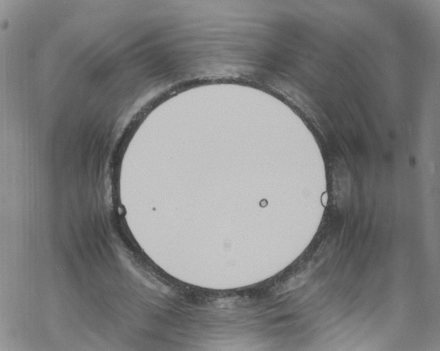 X0000067950584200605112127