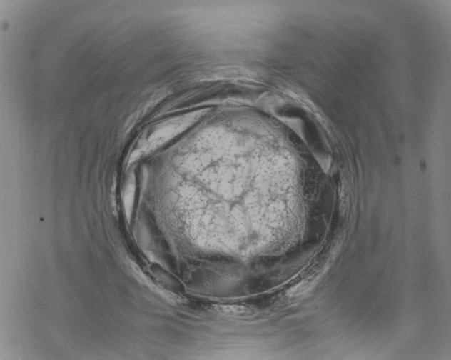 X0000067950585200605112127