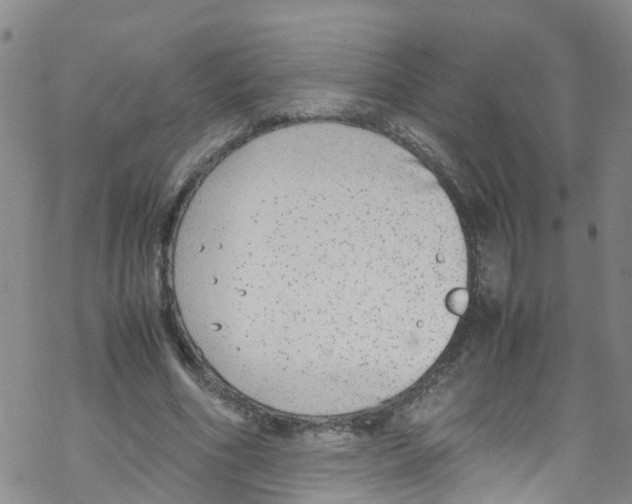 X0000067950586200605112127