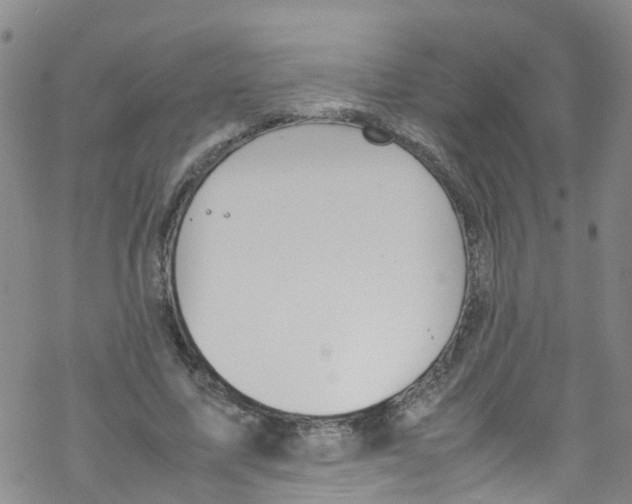 X0000067950587200605112127