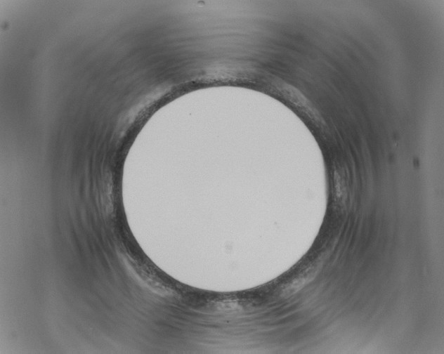 X0000067950588200605112127